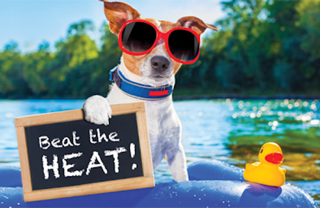 How To Beat The Heat This Summer In 10 Easy Ways?