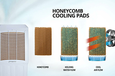 Air Cooler 2024